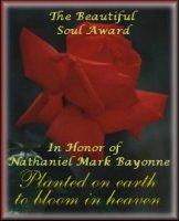 Beautiful award