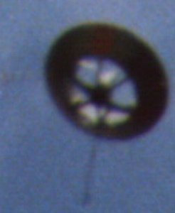apogee