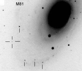 M81