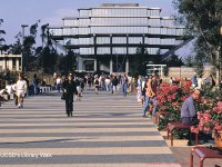 Library Walk