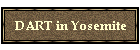 DART in Yosemite