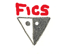 Fiction