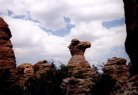 The Camel's Head