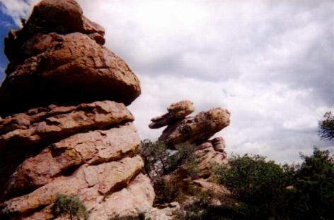 Duck on a Rock