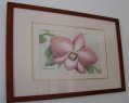 Orchid