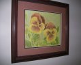 Yellow Pansies