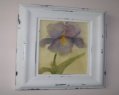 Antique Iris