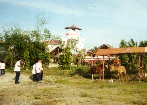 manghang-mangha ang apat na binata