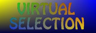Virtual Selection