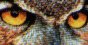 Mystery owl E