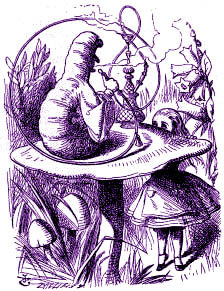 Alice & The Caterpillar