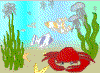 flash animation