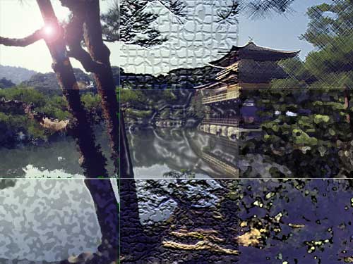 playing with photos
