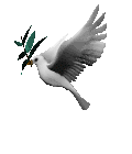 Dove Flying with Olive Branch