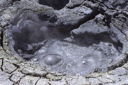 NZ205.jpg (151072 bytes)