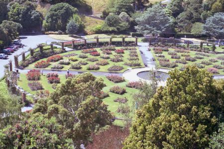 nz506.jpg (106163 bytes)