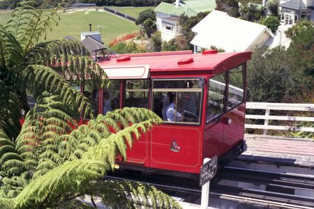 nz504.jpg (22388 bytes)