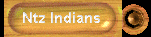 A good site about the Natchez Indians