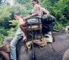 Dom and Friends on an Elephant