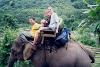 Riding Elephants
