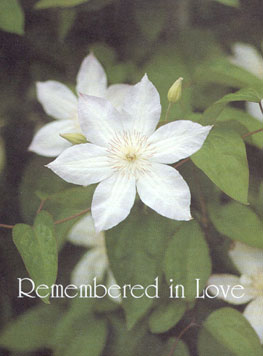 Remembered in Love