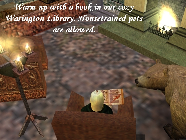 This is the virtual life!