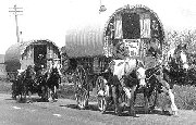 wagons