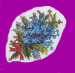 forget-me-nots