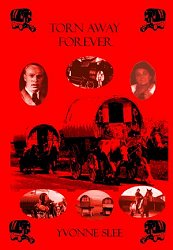 my book