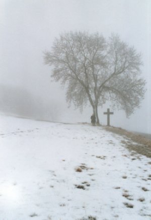 foggy tree & cross picture