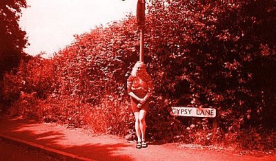 Gypsy lane picture