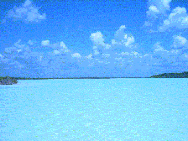 THIS IS THE VIEW OF LAGOON