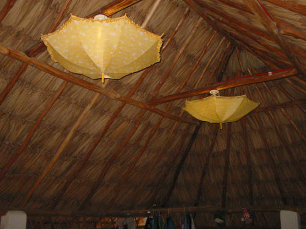 INSIDE OF THATCH ROOF