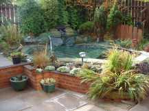 a pond in summer