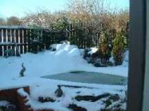 pond in winter