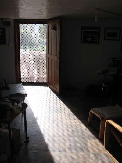 Sunlight