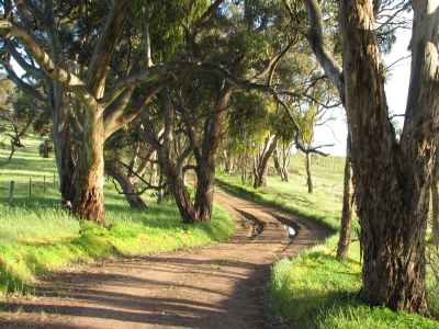 Jacobs Range road