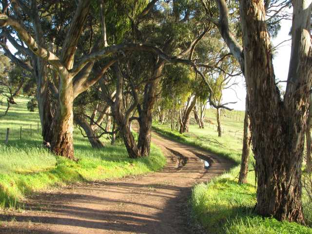 Jacobs Range Road
