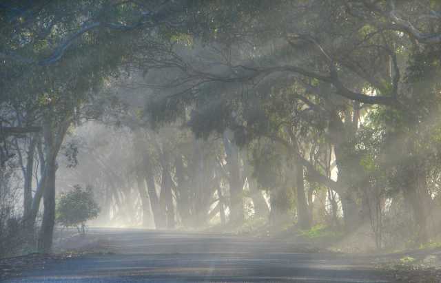 Boconnoc Park Road
