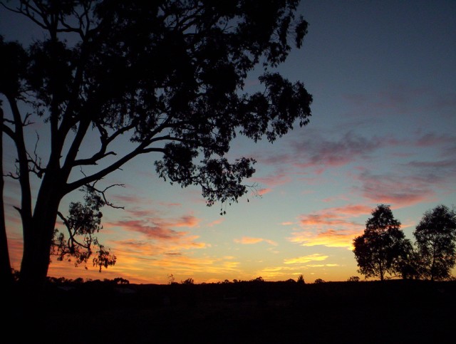 Elysium sunrise