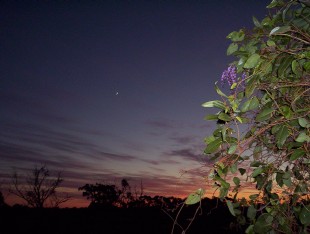 Moon and Venus, at Elysium