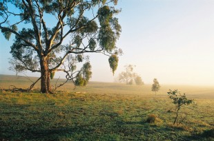 Winter2004