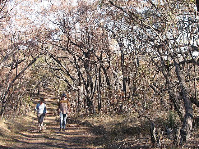 Ridgetop walk