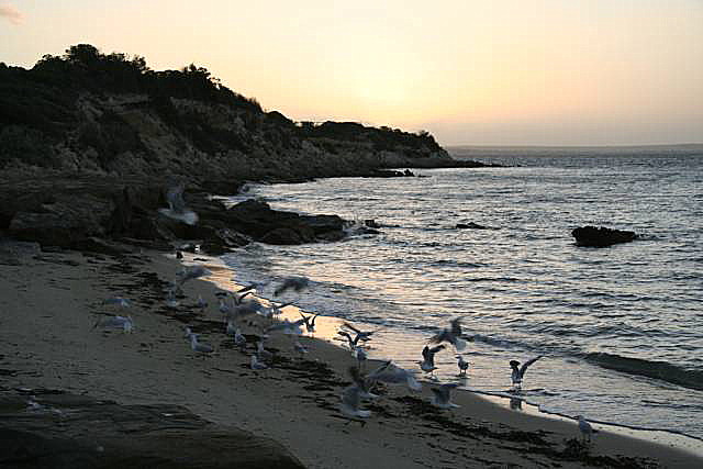 Baudin Beach