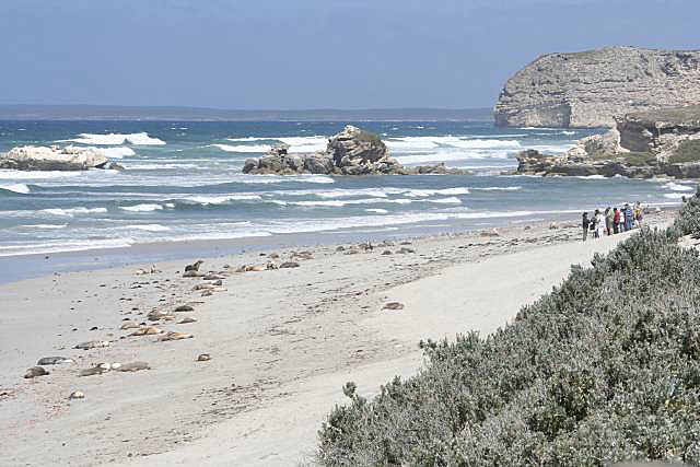 Tourists on beach