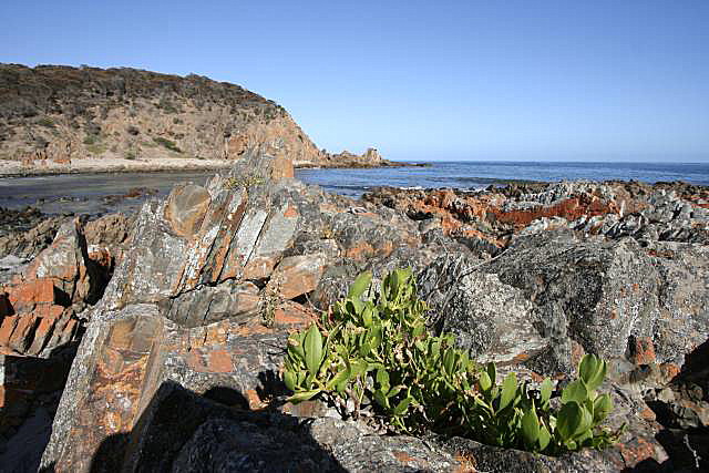 King George Beach