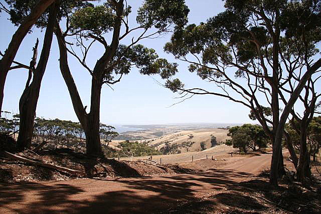 Constitution Hill