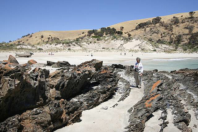 W.R. Cove