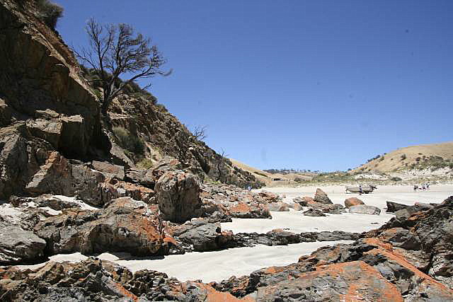 W.R. Cove