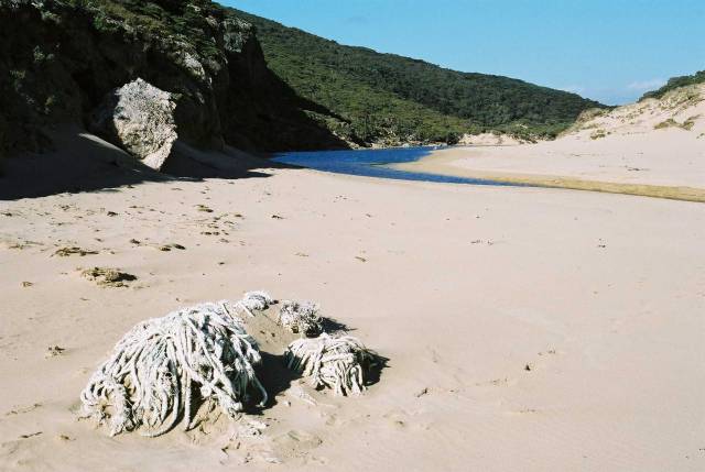Casoars beach